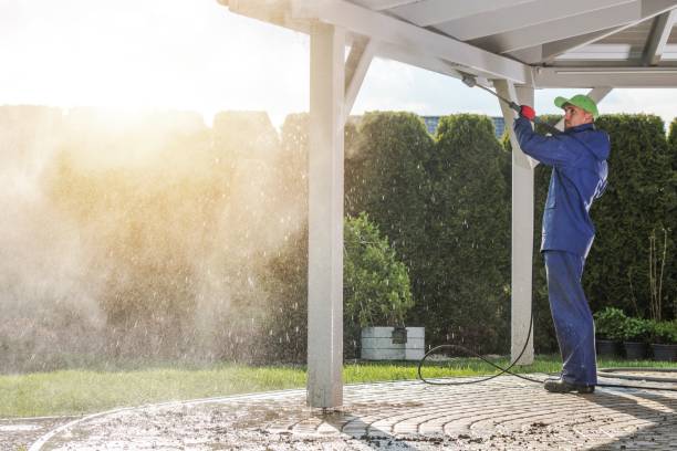 Best Soft Washing for Delicate Surfaces in Crivitz, WI